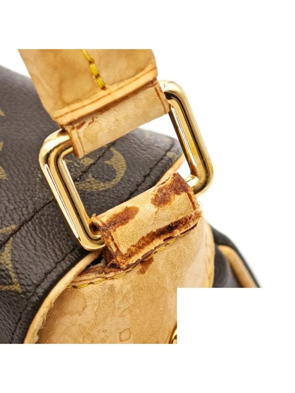 Louis Vuitton brand louis